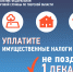 1 декабря – срок уплаты имущественных налогов физическими лицами - Реабилитационный центр для детей и подростков с ограниченными возможностями
